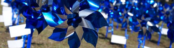 Blue Pinwheels staked in the ground for Child Abuse Awareness wide